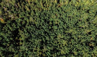 TBD State Rd 121, Alachua, FL 32615