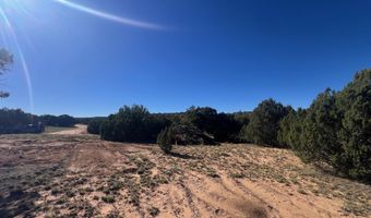 96 CR3041, Concho, AZ 85924