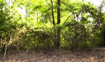 263 LR 182, Ashdown, AR 71822