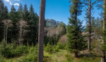 Walsh Ln, Arch Cape, OR 97102