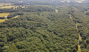Private Drive Off Of Fr 1245, Aurora, MO 65605