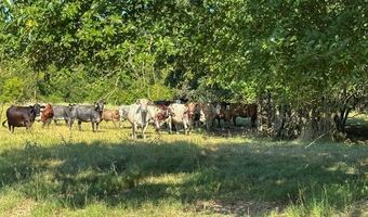 19499 E Whippoorwill Ln, Atoka, OK 74525