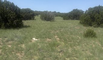145 Zuni Dr, Concho, AZ 85924