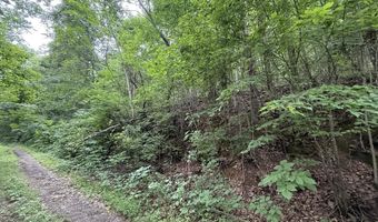 5 Lots Fortunato Dr, Baneberry, TN 37890