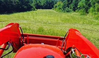 10664 Burton's Ferry Rd, Allendale, SC 29810