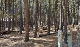 Knollwood Way lot 3, Angel Fire, NM 87710