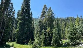 28 LOW DOG Rd, Big Sky, MT 59716