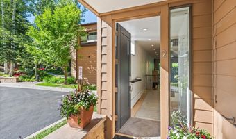 155 Lone Pine - River Blf #C2, Aspen, CO 81611