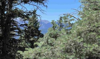 Rainbow Overlook Lot 1229RE Amended A, Angel Fire, NM 87710