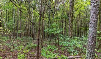 12712 Cranfield Rd, Birchwood, TN 37308