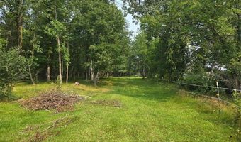 Tbd State 87 SW, Backus, MN 56435