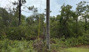 4539 NW Miller/White LN Rd, Altha, FL 32421