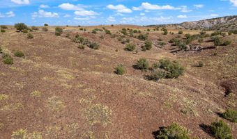 N8491, Concho, AZ 85924