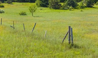 8688 Miller Rd, Alanson, MI 49706