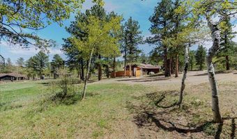 104 County Road 90, Allenspark, CO 80510