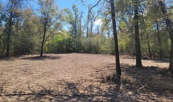 BLK 211 Vancouver Drive lot 21, Alford, FL 32420