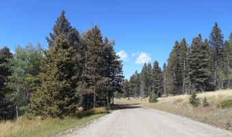 Lot 1287 El Camino Real, Angel Fire, NM 87710