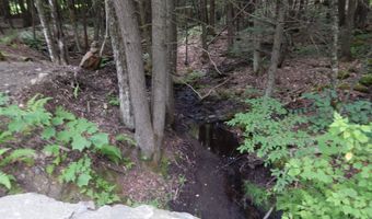 Pine Cliff Road, Alstead, NH 03602