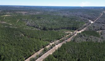 Robinsonville Road, Atmore, AL 36502
