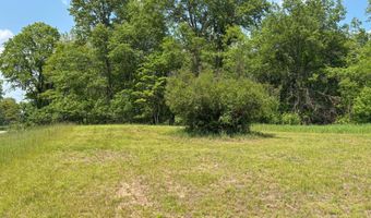 1055 42nd St, Allegan, MI 49010