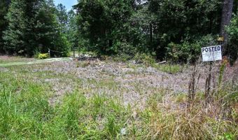 Rooks Road, Atkinson, NC 28421