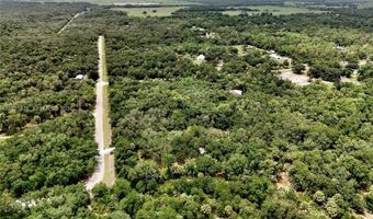 2963 SW Armadillo Trl, Arcadia, FL 34266