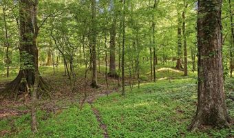 425 Rose Hill Rd, Bentonia, MS 39040