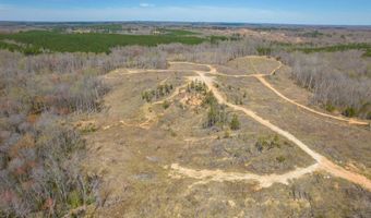 Vista Lane, Bethel Springs, TN 38315
