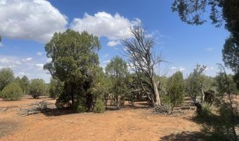4934 Elk Trail Rd, Clay Springs, AZ 85923