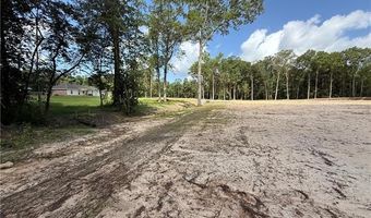 993 Paradise Rd PARADISE Rd, Ball, LA 71405