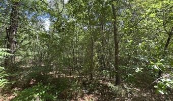 Utley Street lot 3, Aberdeen, NC 28315
