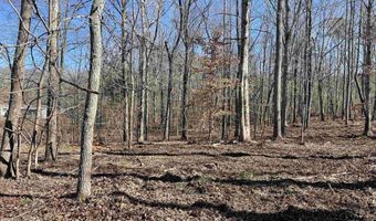 0009 SPRINGHOLLOW Rd Lot 9, Ashville, AL 35953