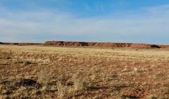 15 Co Rd N7284 40 Acres, Chambers, AZ 86502