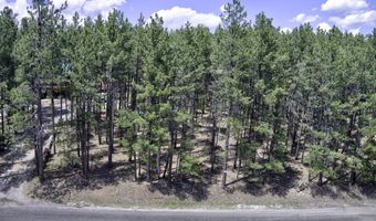 Lot 563 Lakeview Park Drive, Angel Fire, NM 87710