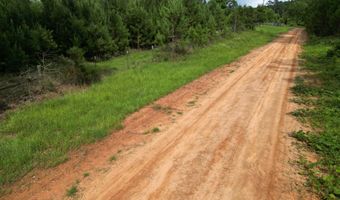 0 County Road 204, Ariton, AL 36311