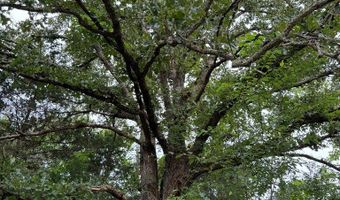 9891 Baskerville Rd, Baskerville, VA 23915