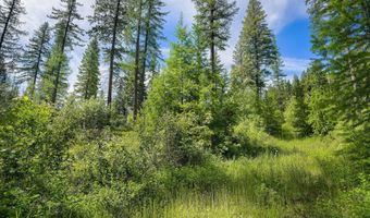 477 Chief Cliff Trl, Bigfork, MT 59911