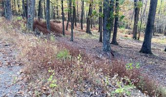 BIG HORN Trail, Augusta, WV 26704