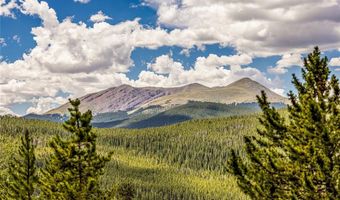 111 Emmett Lode Rd, Breckenridge, CO 80424