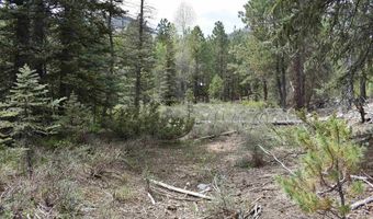 264 Ponderosa Homes Rd, Bayfield, CO 81137