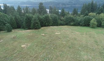 290 Wilkinson Rd 4, Ariel, WA 98603