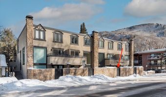 1024 E Cooper Ave 3A, Aspen, CO 81611