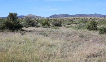 Tract 91 Sierra La Rana, Alpine, TX 79830