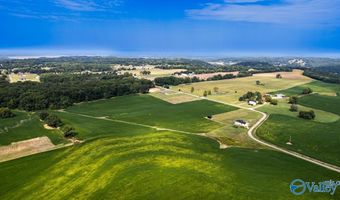 30 Acres Stevenson Rd, Ardmore, TN 38449