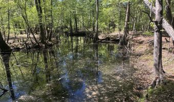 5 6 7 53 Off Highway Lot 5 6 & 7, Atkinson, NC 28421