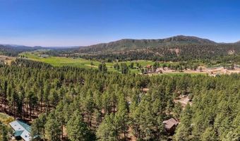 79 Spruce Way, Bayfield, CO 81122
