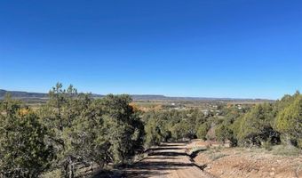 440 Run Around Rd, Arboles, CO 81121