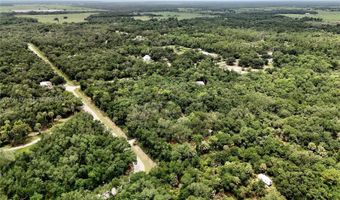 2963 SW Armadillo Trl, Arcadia, FL 34266