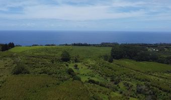 1-3 PRIVATE Rd, Hakalau, HI 96710