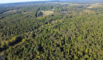 51 Shelton Rd, Bee Branch, AR 72013